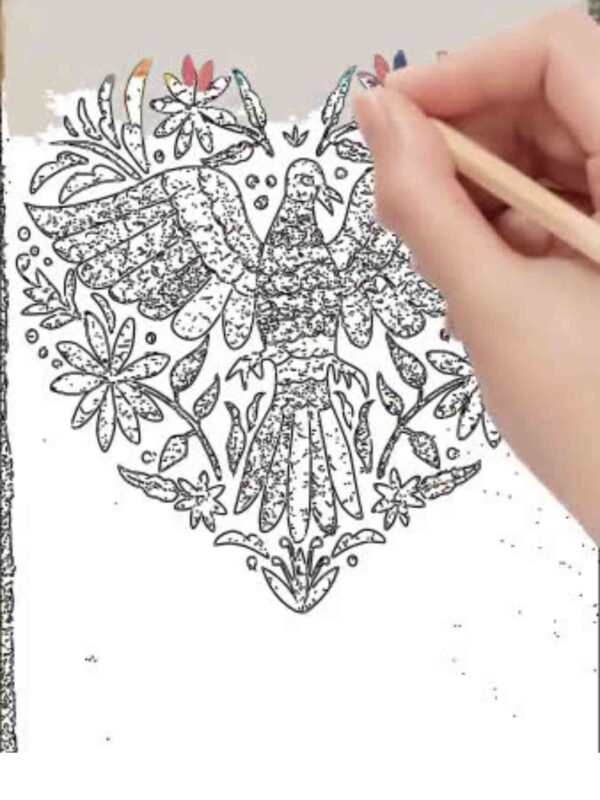 Otomi Art Project- Arte Otomi - Image 3